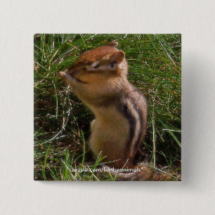 Chipmunk -Button 15 Cm Square Badge