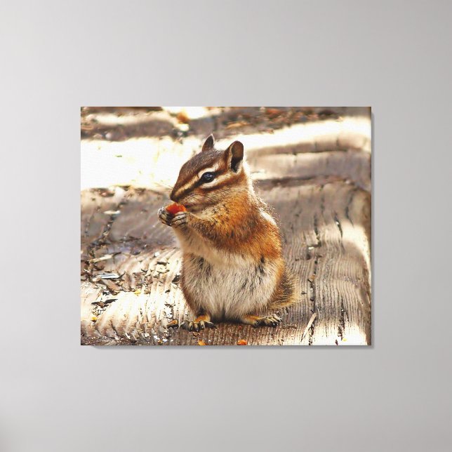 Chipmunk Canvas Print (Front)