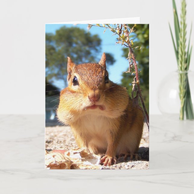 Chipmunk Card (Front)