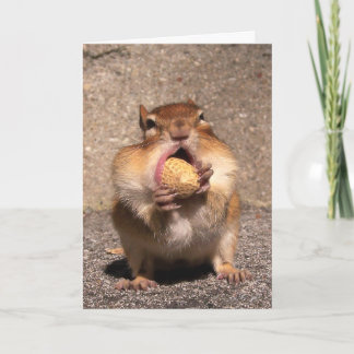 Chipmunk Card