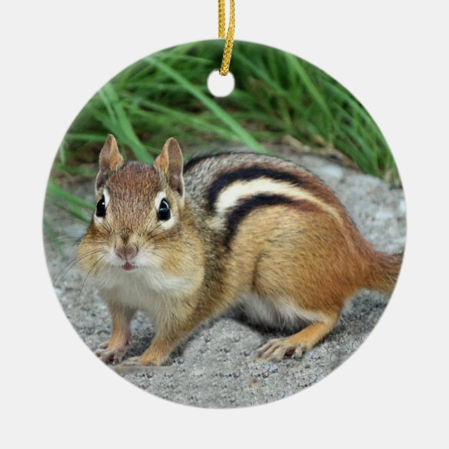 Chipmunk Ceramic Tree Decoration (Front)