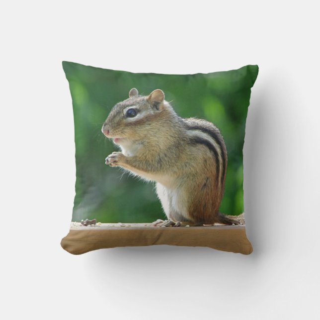 Chipmunk Cushion (Front)
