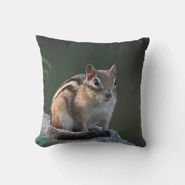 Chipmunk Cushion (Front)