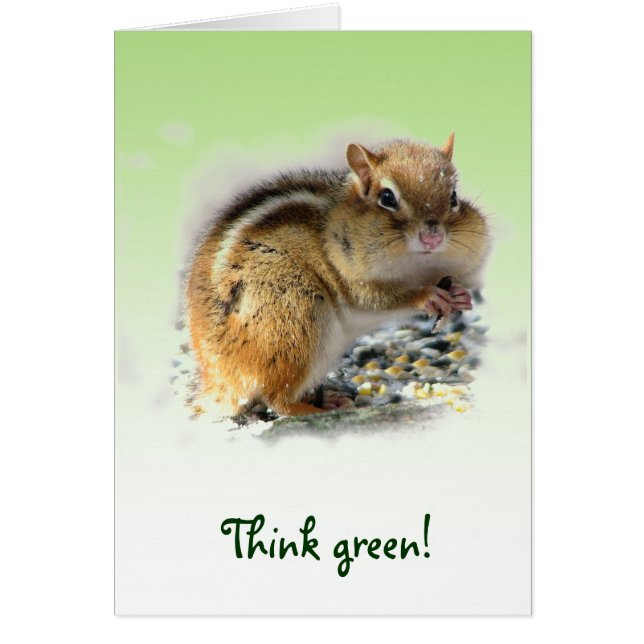 Chipmunk Earth Day (Front)
