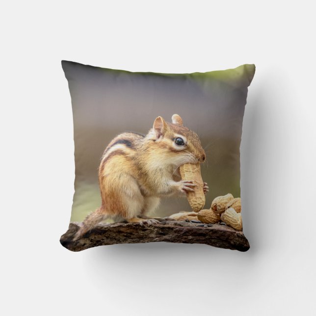 Chipmunk eating a peanut cushion (Front)
