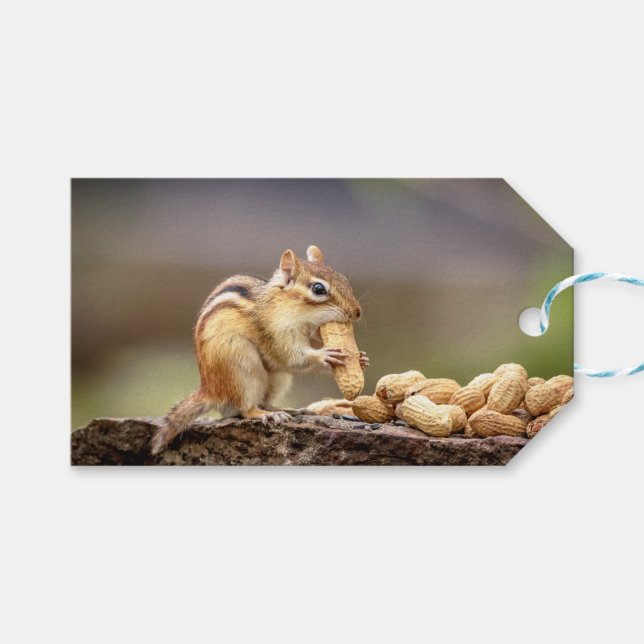 Chipmunk eating a peanut gift tags (Front (Horizontal))