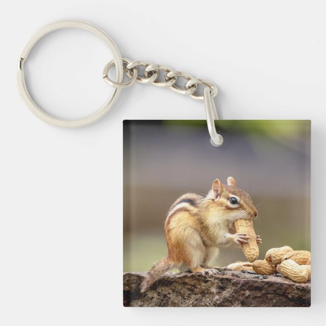 Chipmunk eating a peanut key ring (Front)