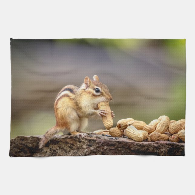 Chipmunk eating a peanut tea towel (Horizontal)