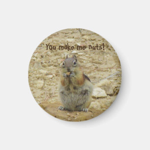 Chipmunk Funny Magnet