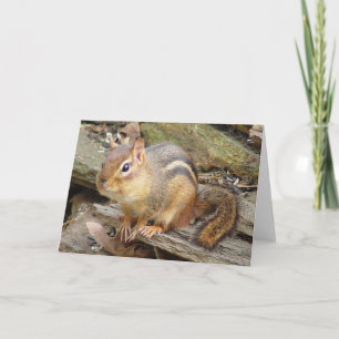 Chipmunk Greeting Card 2
