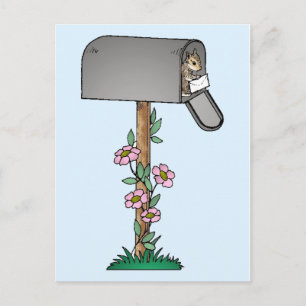 Chipmunk in a Mailbox Postcard