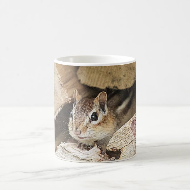 Chipmunk in a wood pile coffee mug (Center)