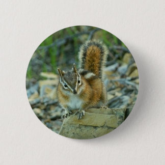 Chipmunk in Glacier National Park 6 Cm Round Badge