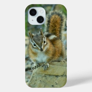 Chipmunk in Glacier National Park iPhone 15 Case