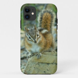 Chipmunk in Glacier National Park Case-Mate iPhone Case