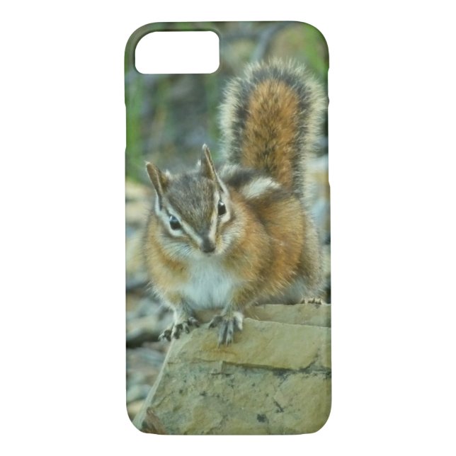 Chipmunk in Glacier National Park Case-Mate iPhone Case (Back)