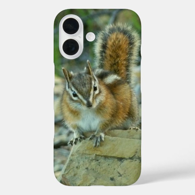 Chipmunk in Glacier National Park Case-Mate iPhone Case (Back)