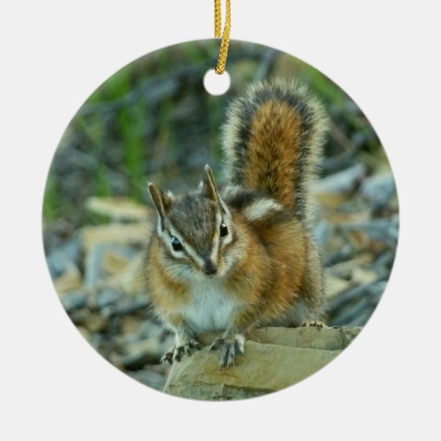 Chipmunk in Glacier National Park Ceramic Tree Decoration (Front)