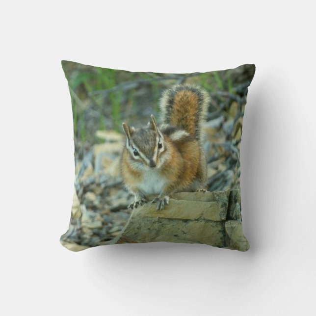 Chipmunk in Glacier National Park Cushion (Front)