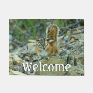 Chipmunk in Glacier National Park Doormat