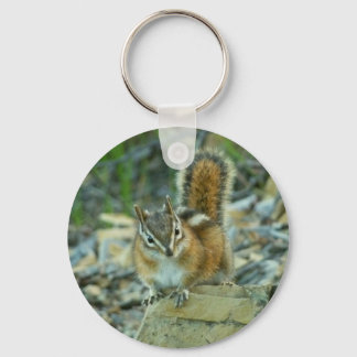 Chipmunk in Glacier National Park Key Ring