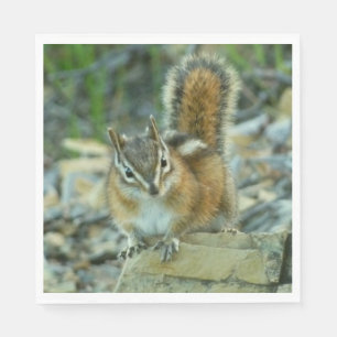 Chipmunk in Glacier National Park Napkin