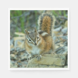 Chipmunk in Glacier National Park Napkin