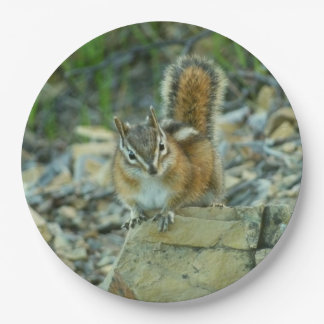 Chipmunk in Glacier National Park Paper Plate