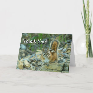 Chipmunk in Glacier National Park Thank You Card