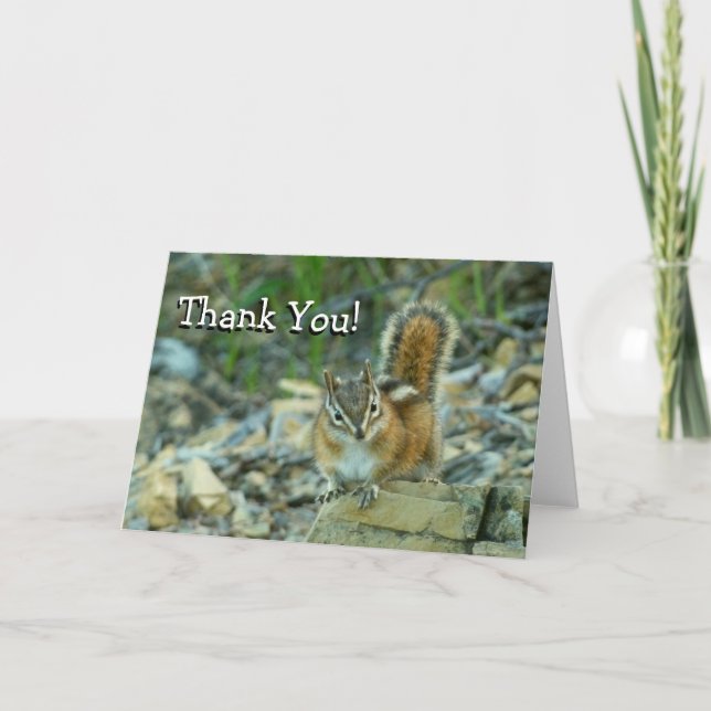 Chipmunk in Glacier National Park Thank You Card (Front)
