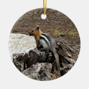 Chipmunk in Yosemite, California Ceramic Tree Decoration