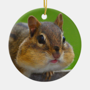 chipmunk is full ceramic tree decoration