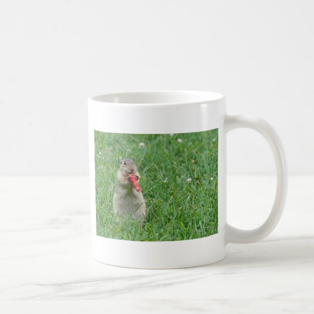 Chipmunk.JPG Coffee Mug (Right)