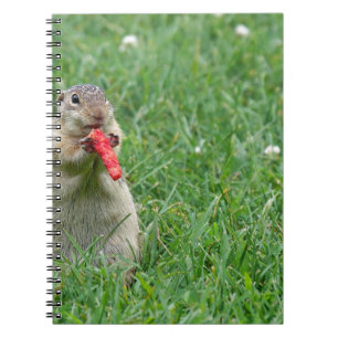 Chipmunk.JPG Spiral Notebook