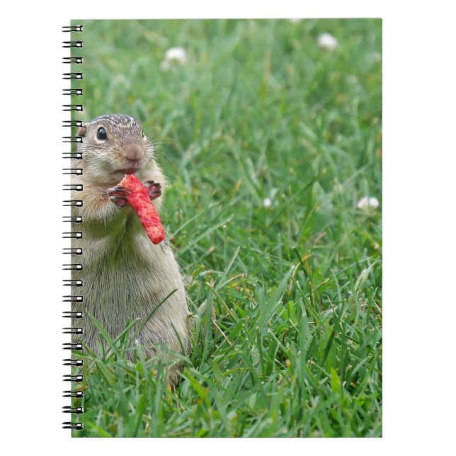 Chipmunk.JPG Spiral Notebook (Front)