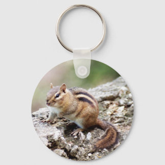 Chipmunk Keychain