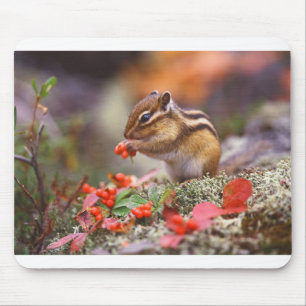 Chipmunk Life Style trending product Mouse Pad