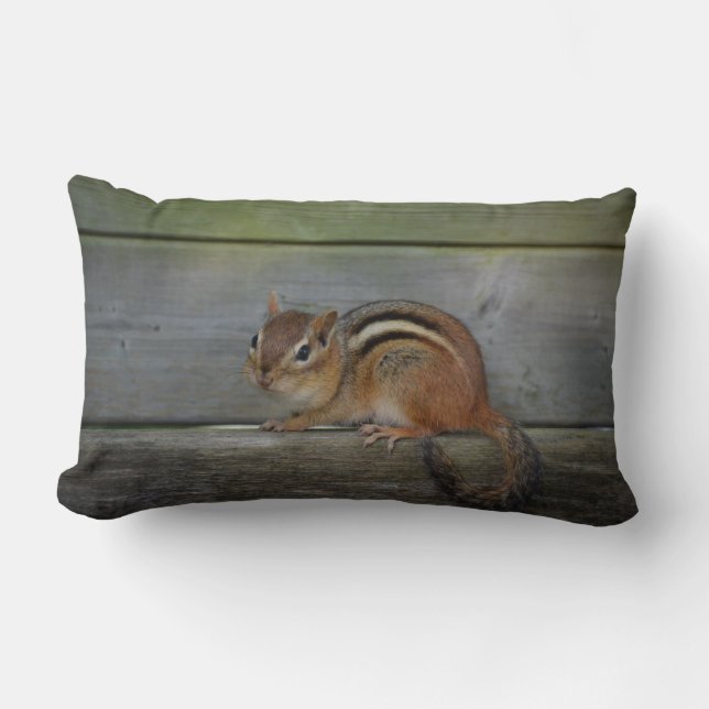 chipmunk lumbar cushion (Front)