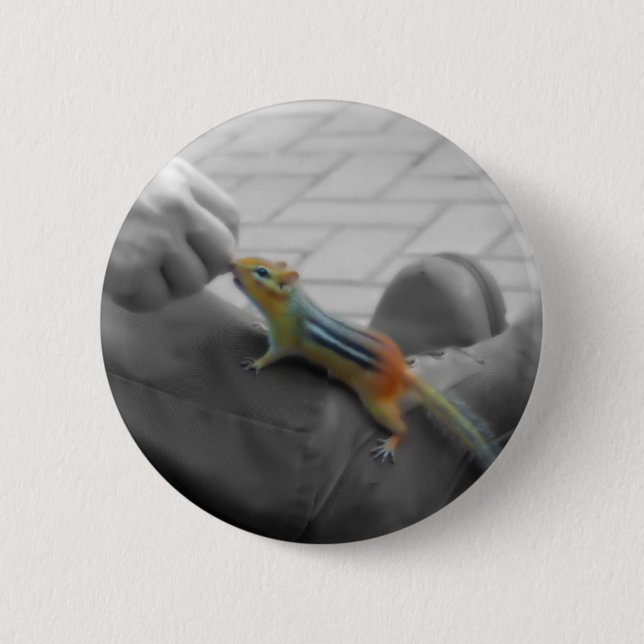 Chipmunk Lunch 6 Cm Round Badge (Front)