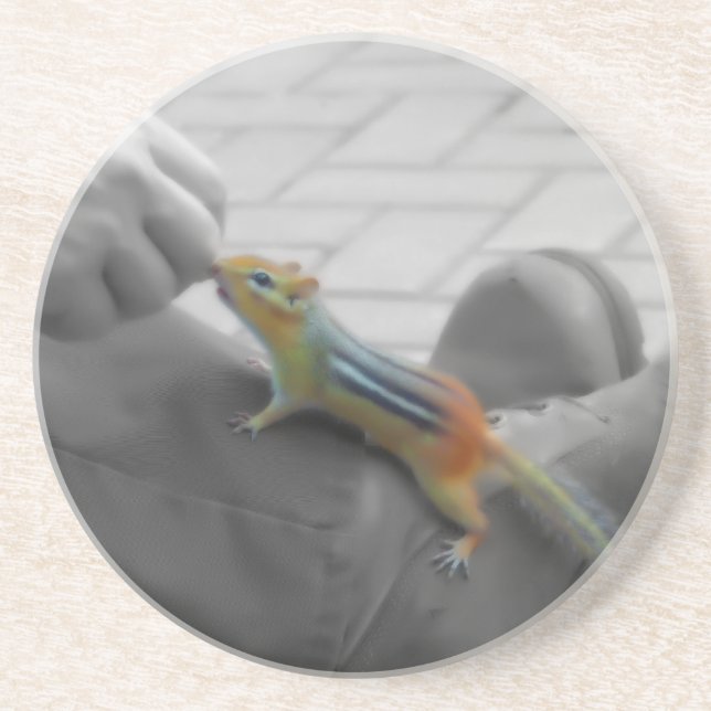 Chipmunk Lunch Coaster (Front)
