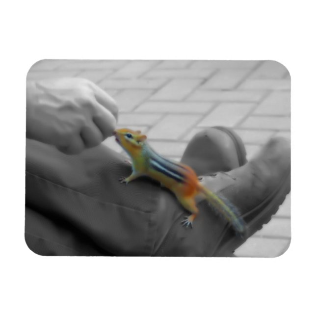 Chipmunk Lunch Magnet (Horizontal)