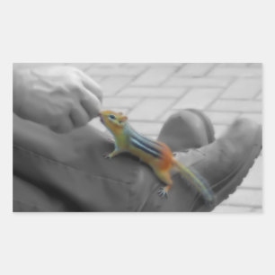 Chipmunk Lunch Rectangular Sticker