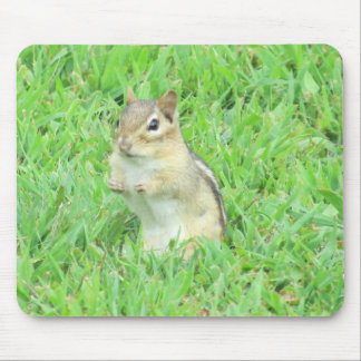 Chipmunk Mouse Pad