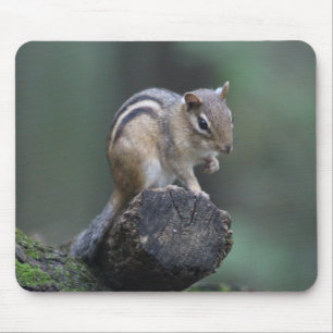 Chipmunk Mousepad