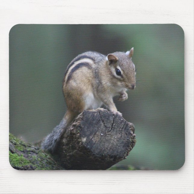 Chipmunk Mousepad (Front)
