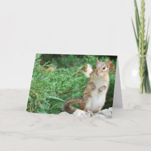 Chipmunk Notecard