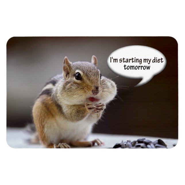 Chipmunk on a Diet Photo Magnet (Horizontal)