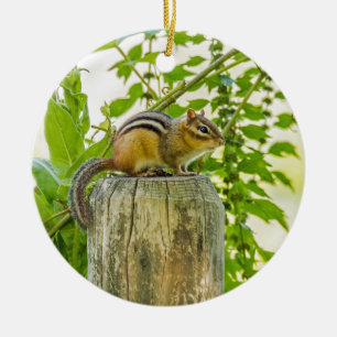Chipmunk on a Fence Post Ceramic Tree Decoration