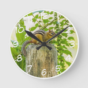 Chipmunk on a Fence Post Round Clock