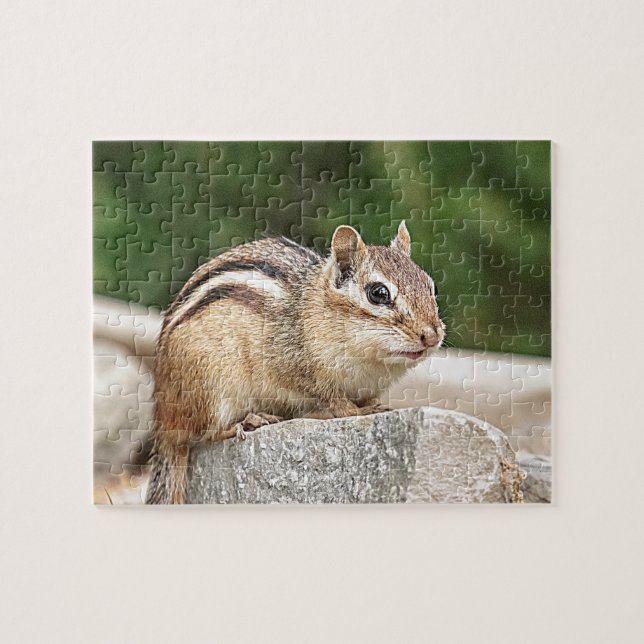 Chipmunk on a rock jigsaw puzzle (Horizontal)